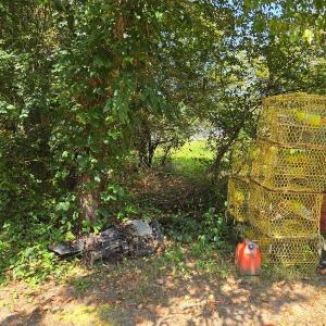 Photo #2 of BLUEBERRY DR, CAPE CHARLES, VA 0.5 acres