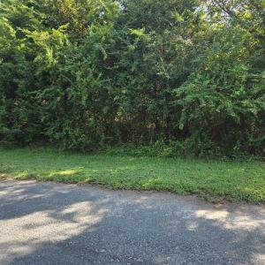 Photo #4 of BLUEBERRY DR, CAPE CHARLES, VA 0.5 acres