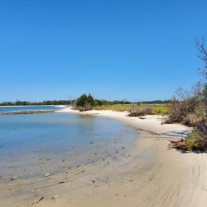 Photo #4 of Lot 42 ARLINGTON CHASE RD, CAPE CHARLES, VA 1.6 acres