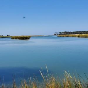 Photo #6 of Lot 42 ARLINGTON CHASE RD, CAPE CHARLES, VA 1.6 acres