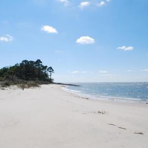 Photo #7 of Lot 42 ARLINGTON CHASE RD, CAPE CHARLES, VA 1.6 acres