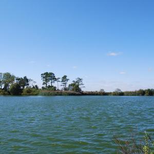Photo #8 of Lot 42 ARLINGTON CHASE RD, CAPE CHARLES, VA 1.6 acres