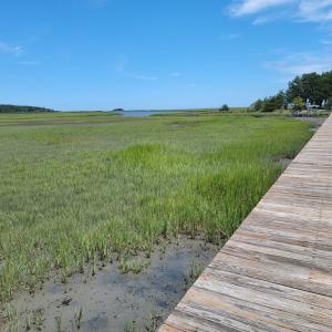 Photo #10 of Lot 26 SEAVIEW ST, ACCOMAC, VA 4.1 acres