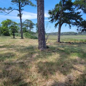 Photo #5 of Lot 26 SEAVIEW ST, ACCOMAC, VA 4.1 acres