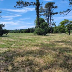 Photo #6 of Lot 26 SEAVIEW ST, ACCOMAC, VA 4.1 acres