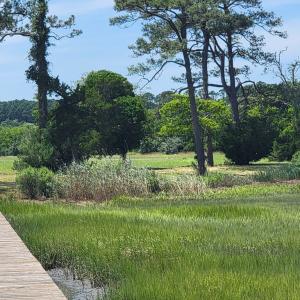 Photo #7 of Lot 26 SEAVIEW ST, ACCOMAC, VA 4.1 acres