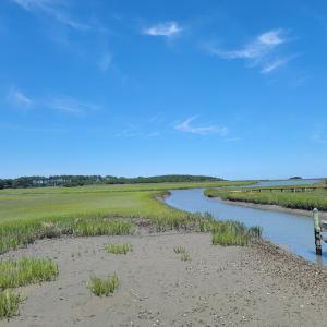 Photo #8 of Lot 26 SEAVIEW ST, ACCOMAC, VA 4.1 acres