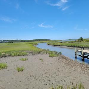Photo #12 of Lot 26 SEAVIEW ST, ACCOMAC, VA 4.1 acres