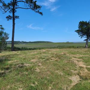 Photo #14 of Lot 26 SEAVIEW ST, ACCOMAC, VA 4.1 acres