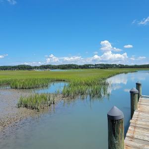 Photo #17 of Lot 26 SEAVIEW ST, ACCOMAC, VA 4.1 acres