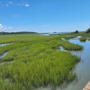 Photo #6 of Lot 26 SEAVIEW ST, ACCOMAC, VA 4.1 acres