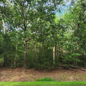Photo #2 of 105 JOLLY RODGER DRIVE, GREENBACKVILLE, VA 13,333.0 acres