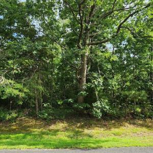 Photo #3 of 105 JOLLY RODGER DRIVE, GREENBACKVILLE, VA 13,333.0 acres
