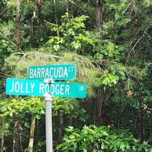 Photo #4 of 105 JOLLY RODGER DRIVE, GREENBACKVILLE, VA 13,333.0 acres