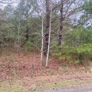Photo #2 of Lot 6 HALL ROAD, GREENBACKVILLE, VA 0.8 acres