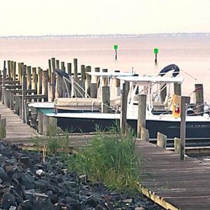 Photo #13 of Lot 1025 BAYSIDE DR, GREENBACKVILLE, VA 9.0 acres