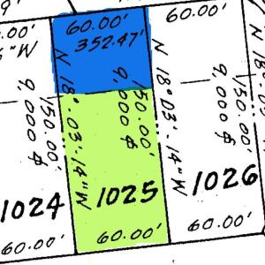 Photo #4 of Lot 1025 BAYSIDE DR, GREENBACKVILLE, VA 9.0 acres