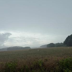 Photo #2 of Lot 11B HIDEAWAY COVE RD, EXMORE, VA 13.4 acres