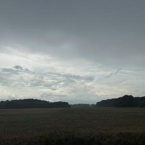 Photo #4 of Lot 11B HIDEAWAY COVE RD, EXMORE, VA 13.4 acres