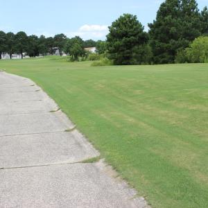 Photo #3 of 337 NAVIGATOR DR, GREENBACKVILLE, VA 65.0 acres