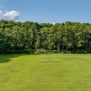 Photo #10 of 1-6 HURST STORE ROAD, GREENBUSH, VA 9.9 acres