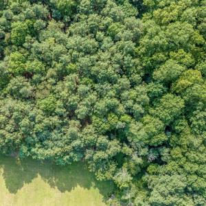Photo #14 of 1-6 HURST STORE ROAD, GREENBUSH, VA 9.9 acres