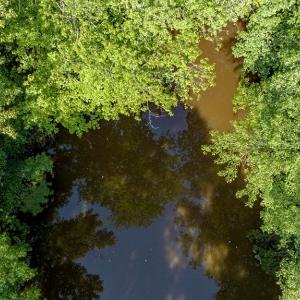 Photo #17 of 1-6 HURST STORE ROAD, GREENBUSH, VA 9.9 acres