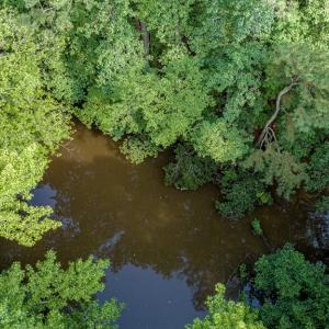 Photo #18 of 1-6 HURST STORE ROAD, GREENBUSH, VA 9.9 acres