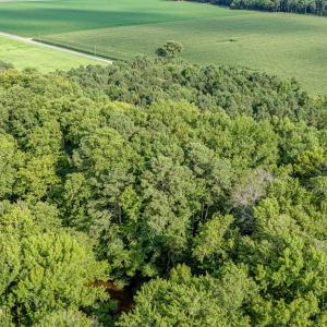 Photo #19 of 1-6 HURST STORE ROAD, GREENBUSH, VA 9.9 acres