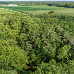 Photo #20 of 1-6 HURST STORE ROAD, GREENBUSH, VA 9.9 acres