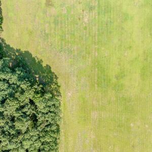 Photo #23 of 1-6 HURST STORE ROAD, GREENBUSH, VA 9.9 acres