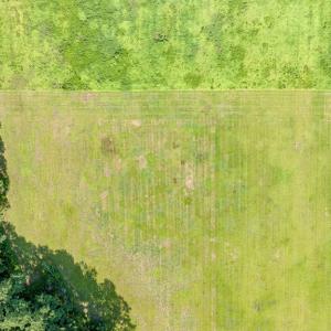 Photo #24 of 1-6 HURST STORE ROAD, GREENBUSH, VA 9.9 acres