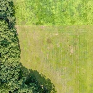 Photo #25 of 1-6 HURST STORE ROAD, GREENBUSH, VA 9.9 acres