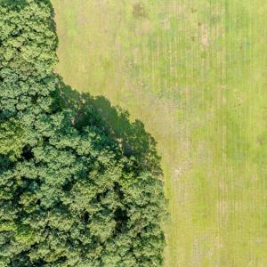 Photo #26 of 1-6 HURST STORE ROAD, GREENBUSH, VA 9.9 acres