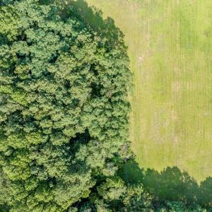 Photo #27 of 1-6 HURST STORE ROAD, GREENBUSH, VA 9.9 acres
