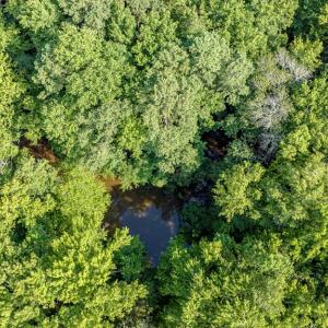 Photo #31 of 1-6 HURST STORE ROAD, GREENBUSH, VA 9.9 acres