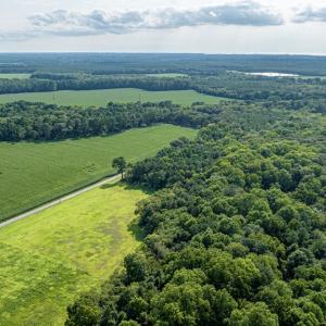 Photo #40 of 1-6 HURST STORE ROAD, GREENBUSH, VA 9.9 acres