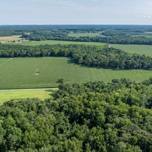 Photo #42 of 1-6 HURST STORE ROAD, GREENBUSH, VA 9.9 acres