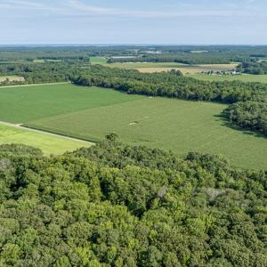 Photo #43 of 1-6 HURST STORE ROAD, GREENBUSH, VA 9.9 acres