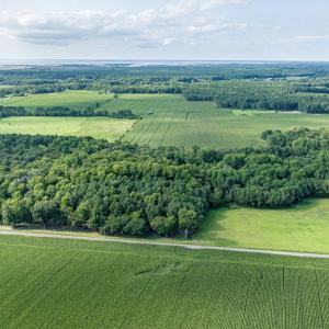 Photo #9 of 1-6 HURST STORE ROAD, GREENBUSH, VA 9.9 acres