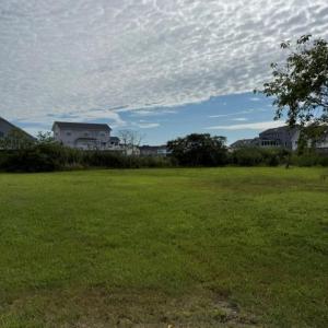 Photo #2 of 1346 ANCHOR CT, GREENBACKVILLE, VA 35.0 acres