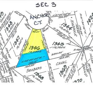 Photo #3 of 1346 ANCHOR CT, GREENBACKVILLE, VA 35.0 acres