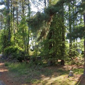 Photo #3 of Lot 1142 AFT CT, GREENBACKVILLE, VA 0.2 acres