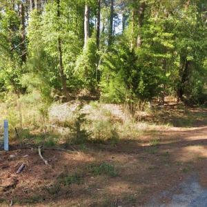Photo #6 of Lot 1142 AFT CT, GREENBACKVILLE, VA 0.2 acres