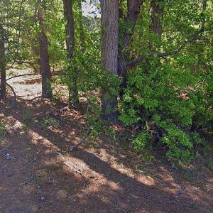 Photo #7 of Lot 1142 AFT CT, GREENBACKVILLE, VA 0.2 acres