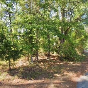 Photo #8 of Lot 1142 AFT CT, GREENBACKVILLE, VA 0.2 acres