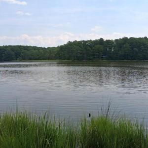 Photo #2 of Lot 3 EAGLE POINT COURT, BELLE HAVEN, VA 3.0 acres