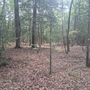 Photo #4 of Lot 3 EAGLE POINT COURT, BELLE HAVEN, VA 3.0 acres