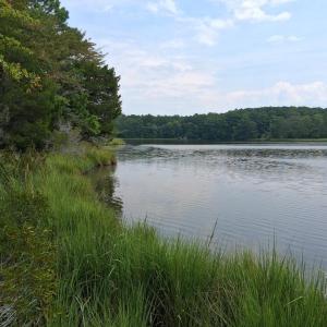 Photo #5 of Lot 3 EAGLE POINT COURT, BELLE HAVEN, VA 3.0 acres