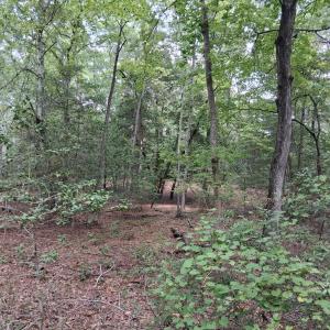 Photo #6 of Lot 3 EAGLE POINT COURT, BELLE HAVEN, VA 3.0 acres